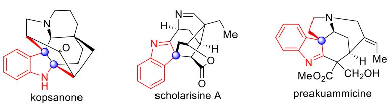 Angew. Chem. Int. Ed.|助力新藥研發！杏鑫娱乐工團隊發現高效構築手性吲哚啉化合物庫新方法